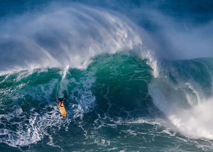 Lagar Do Sapateiro Farm stay Fontes